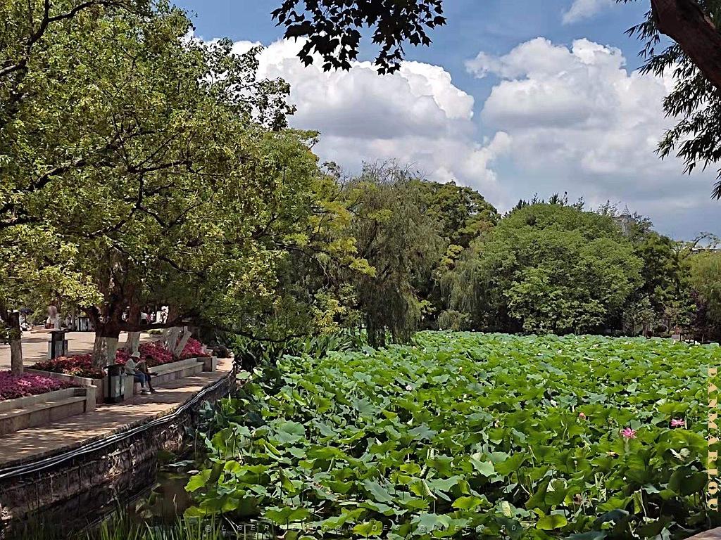 Kunming - Parc Cuihu - 32.jpg